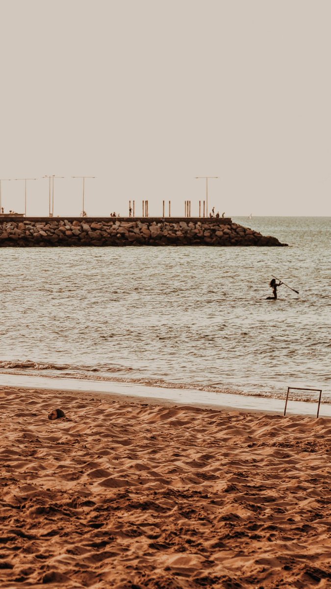 souzafotografo tweet picture