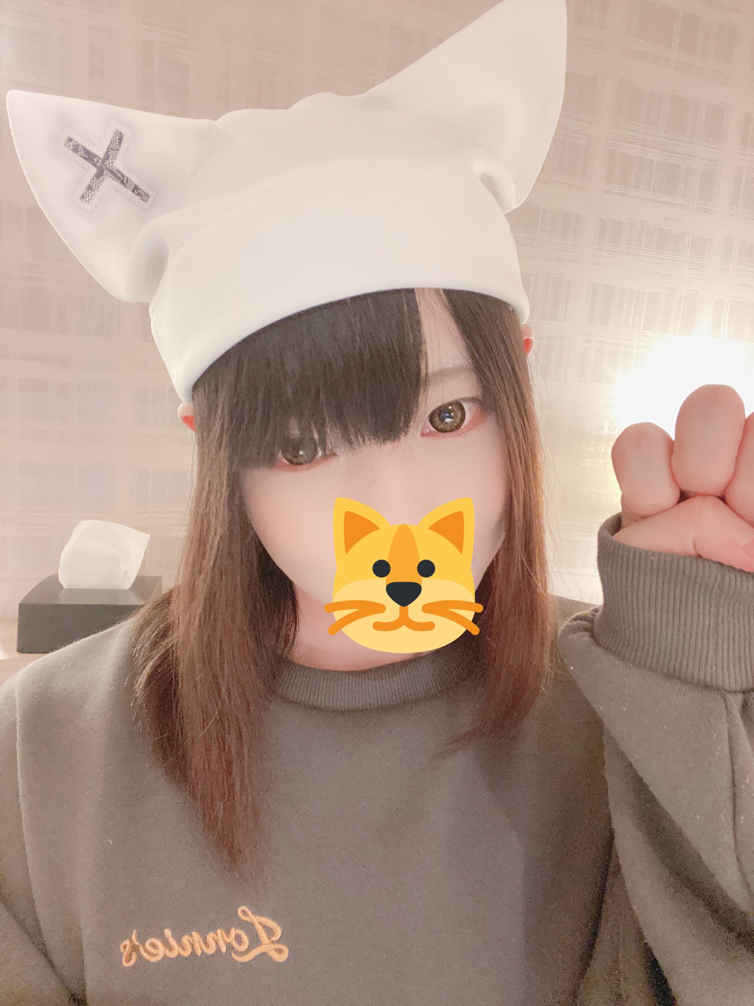 画像,おはにゃーん(=^･ω･^=)今日はねこの日🐈✨どのねこが好き？#男の娘　#女装男子 #偽娘　#crossdresser #ニャンニャンニャン https://…