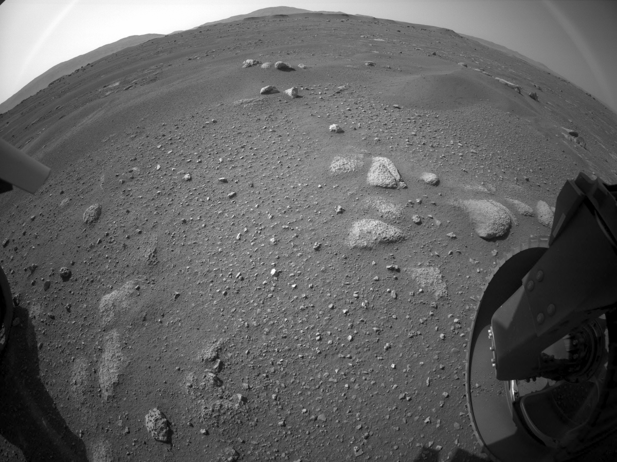 AbsolutSpaceGuy's tweet photo. Sol 2 | A few of the three dozen new images taken by #NASA's newest rover, #Perseverance.
These raw photographs were taken at #Jezero Crater on Sunday from engineering cameras.
#PerseveranceRover's HD color cameras will begin taking beautiful photographs in the coming weeks. https://t.co/pqnTDQiuI2
