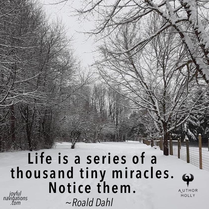 Andrea Bonina (@andreabbythesea) on Twitter photo 