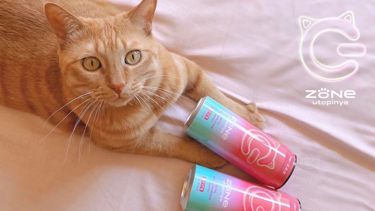 ぞん子＠ZONeエナジー公式アンバサダー on Twitter "RT zone_energy_jp 🐈‍⬛"