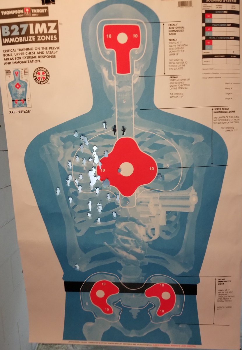 Springfield 1911(45 ACP) -50 rounds