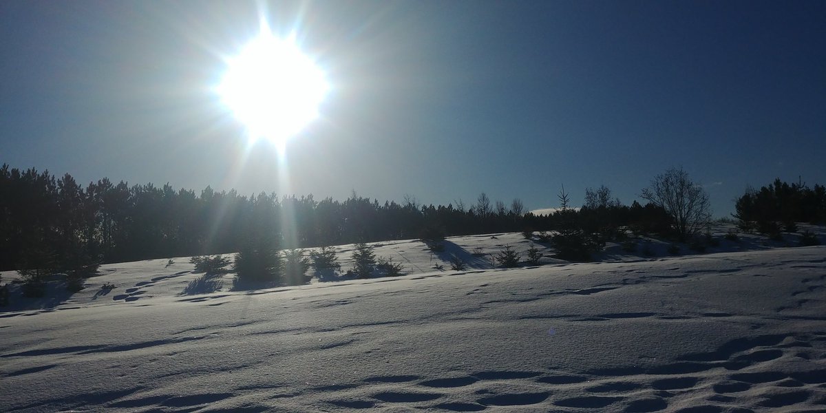 Educate Giles tweet media