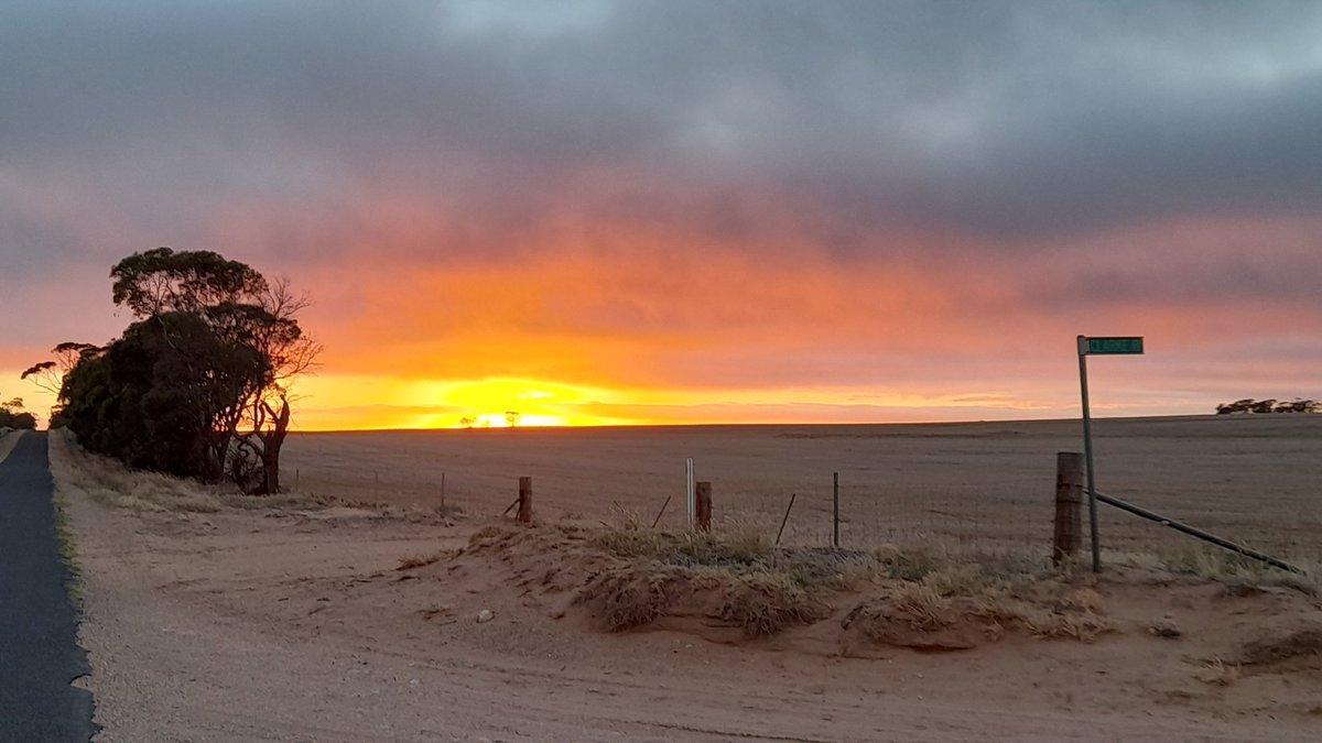 karlene1968's tweet image. Big day for me today. Reached 13,000 km on my bike - Baby.
Never thought I&apos;d ride this many KMs on a bike. But here we are, killing it.
Can&apos;t wait to go to NSW, see my family ❤️ &amp;amp; pick up my Girl &amp;amp; belt out some KMs on her too.
#malleesunrise #GCCOZ
#lovecycling
