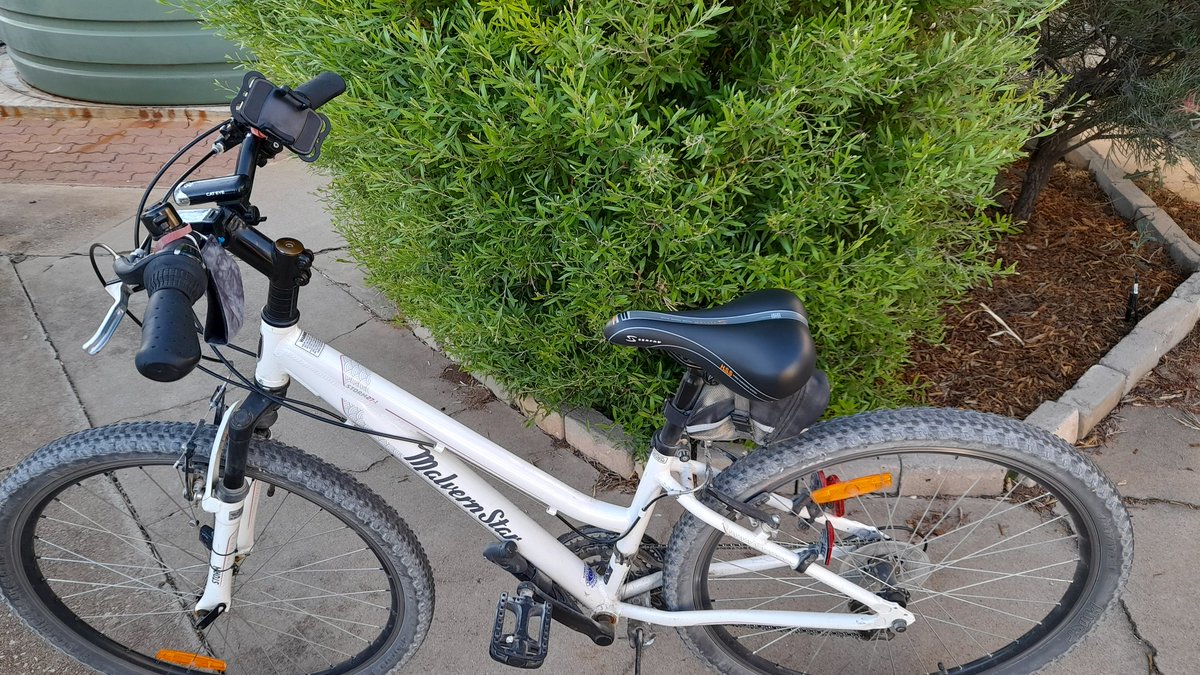 karlene1968's tweet image. Big day for me today. Reached 13,000 km on my bike - Baby.
Never thought I&apos;d ride this many KMs on a bike. But here we are, killing it.
Can&apos;t wait to go to NSW, see my family ❤️ &amp;amp; pick up my Girl &amp;amp; belt out some KMs on her too.
#malleesunrise #GCCOZ
#lovecycling