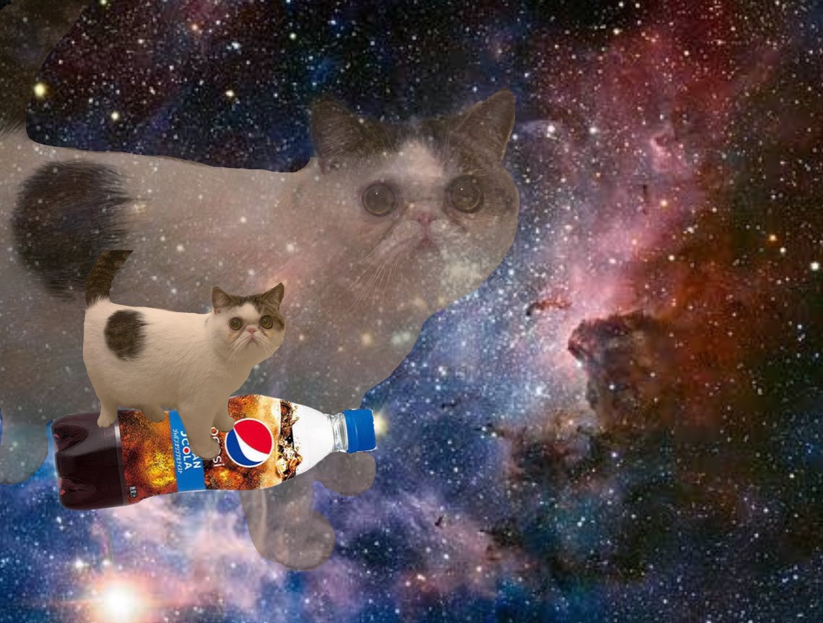 Pepsi ペプシ ペプシ宇宙猫 いつでも加工される準備できてます 猫の日 T Co Zcjnqsuwex