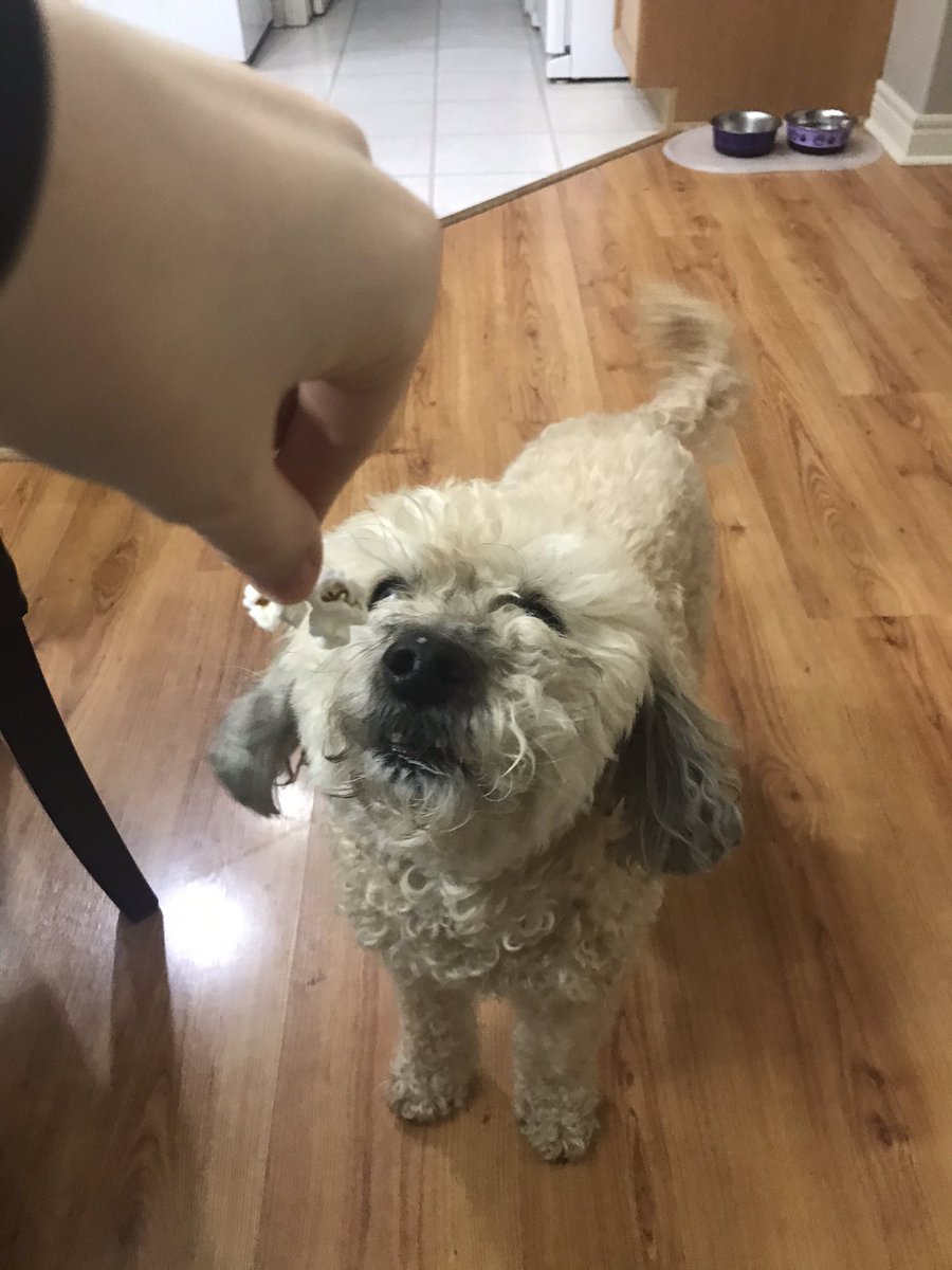 Only buttered popcorn for yilly grr