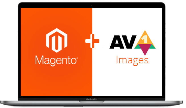 ⭐ JaJuMa ⭐-🕊️🇺🇦🌻🇮🇱☮️ tweet media