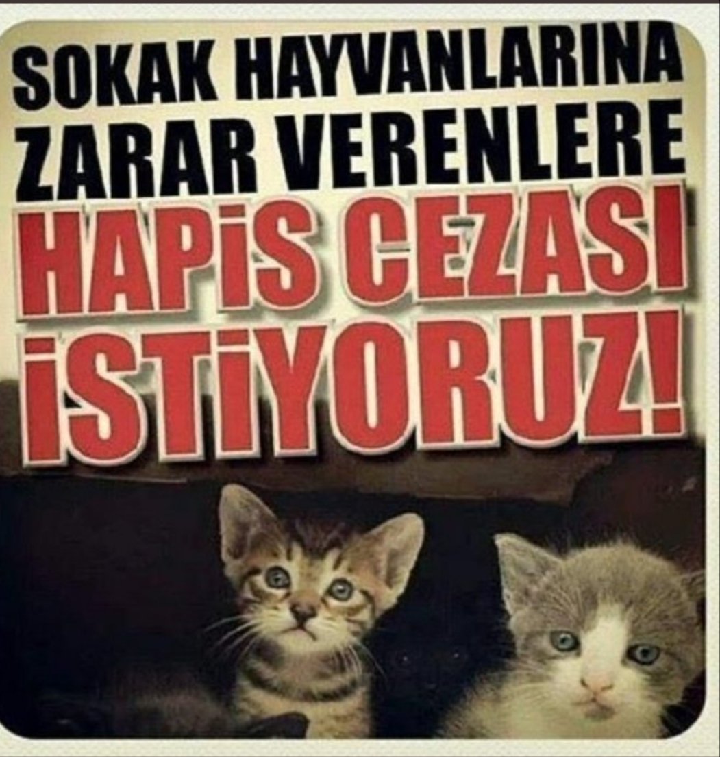 merve58344771's tweet photo. 22/02/2021 tarihinde açlık grevine başlıyorum.....     Aşağıdaki taleplerim yerine getirilmediği takdirde süresiz açlık grevine dönüştüreceğim. 
 https://t.co/Zq2Em9vOn9 https://t.co/glqKhNpuv4
