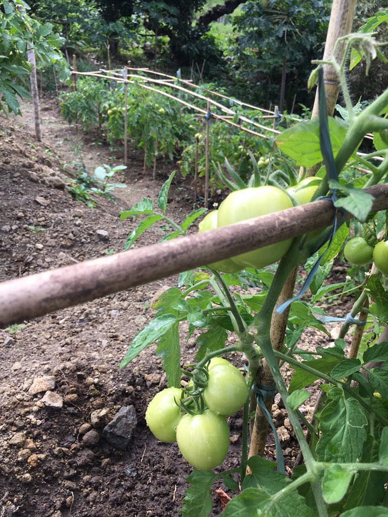 Food justice is not only eating organic, but questioning and confronting the system that keeps our children &amp; communities from accessing healthy food. #farmingforourfuture