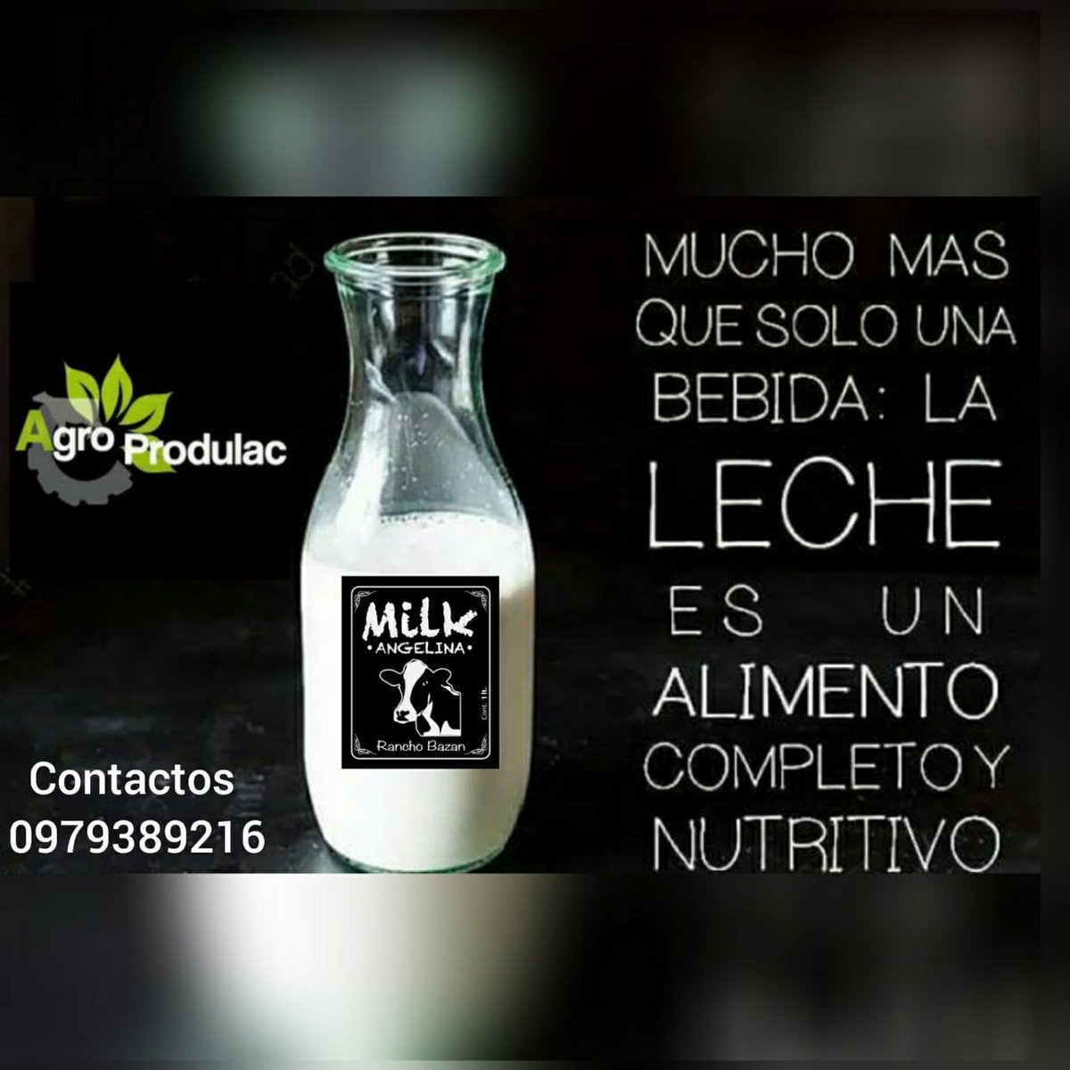 Angelina Milk, leche 100% pura realice sus pedidos y le entregamos en la comodidad de su hogar sin recargo.