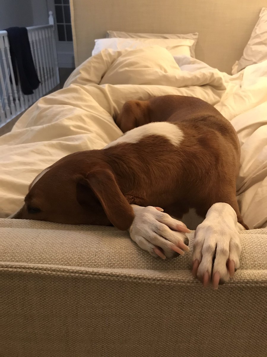 RockyRockstr's tweet photo. waiting for my mani pedi https://t.co/wiHh7jDUUG