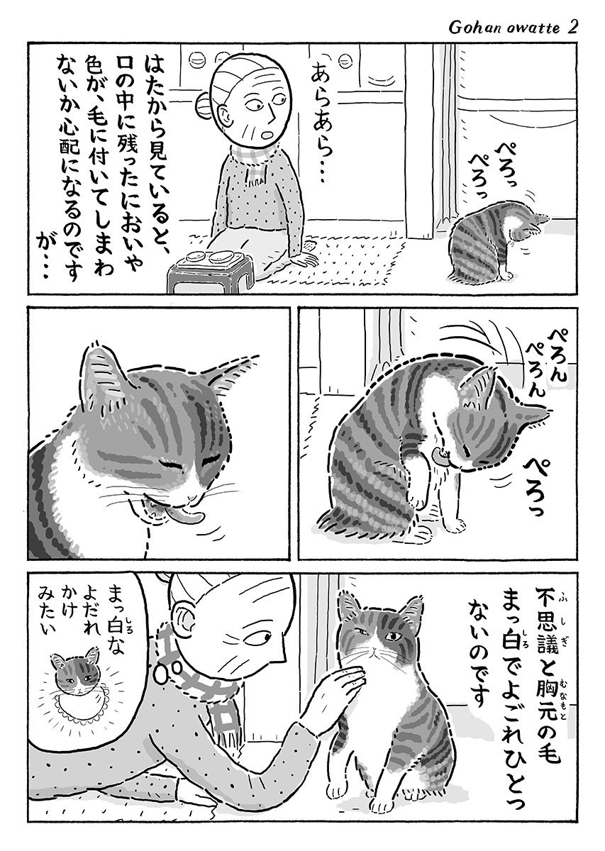 2ページ猫漫画「ごちそうさまのあと」 #猫の菊ちゃん 