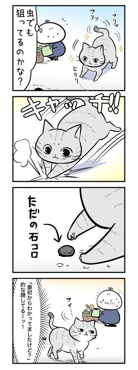 最近あったご近所猫ちゃんのお話を書きました。
#猫の日 
#にゃんにゃんにゃんの日 