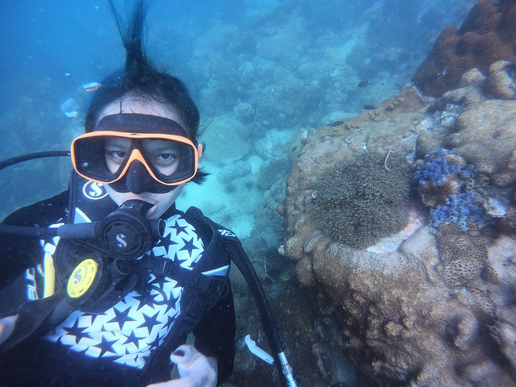 realpattayadive's tweet photo. #divingbrothers #Pattayaclubbing #Thailandfood #Bangkoknightlife #Adventure #Watersorts #Livethedream #Pattayabeachroad #Thailanddiving #Scubadiving #Thailand #Beachlife #Divesites #fightplastic #AmazingThailand #RealDivers https://t.co/40vSNWDG1O