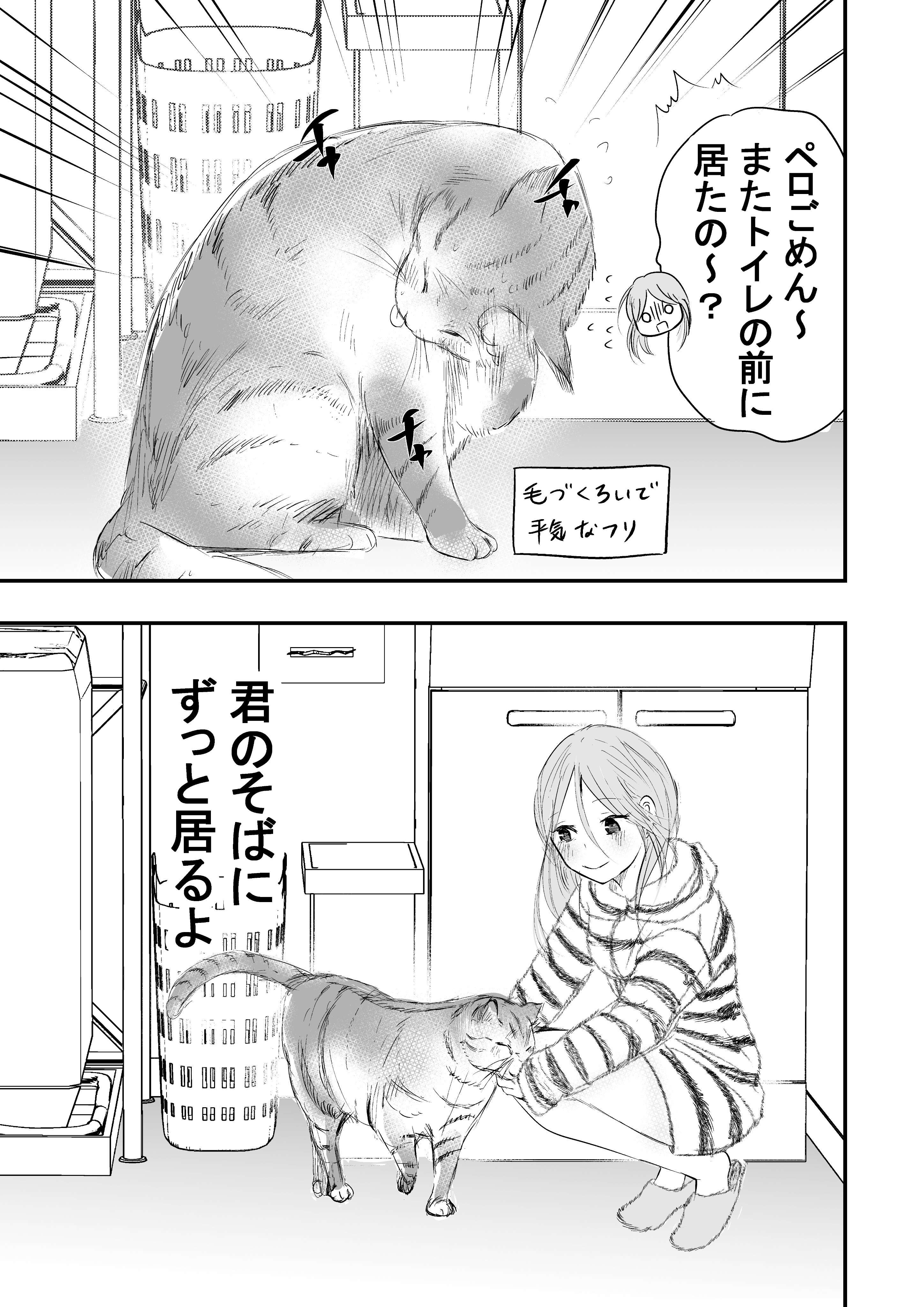 栗田あぐり على تويتر 再掲 かわいいストーカー 猫の日 T Co Dkxisfctkr تويتر