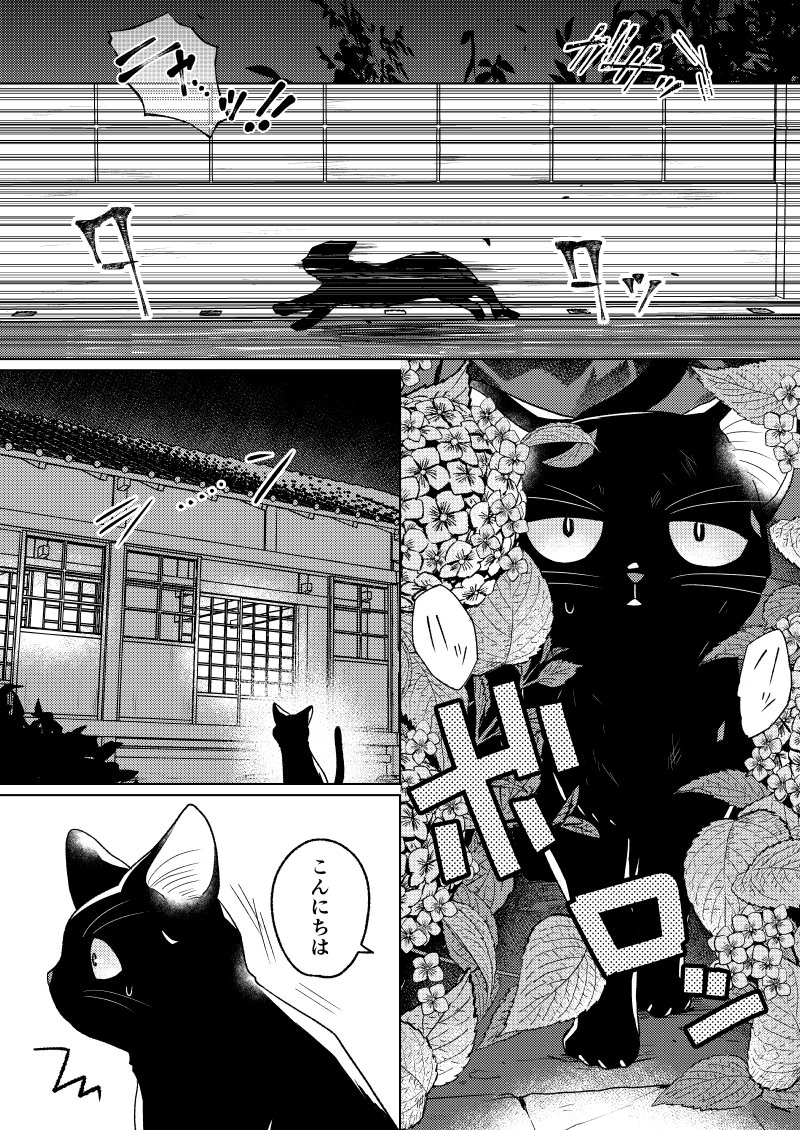 【再掲】幽霊が視える葬儀屋さんと黒猫の話(1/3)
#猫の日 