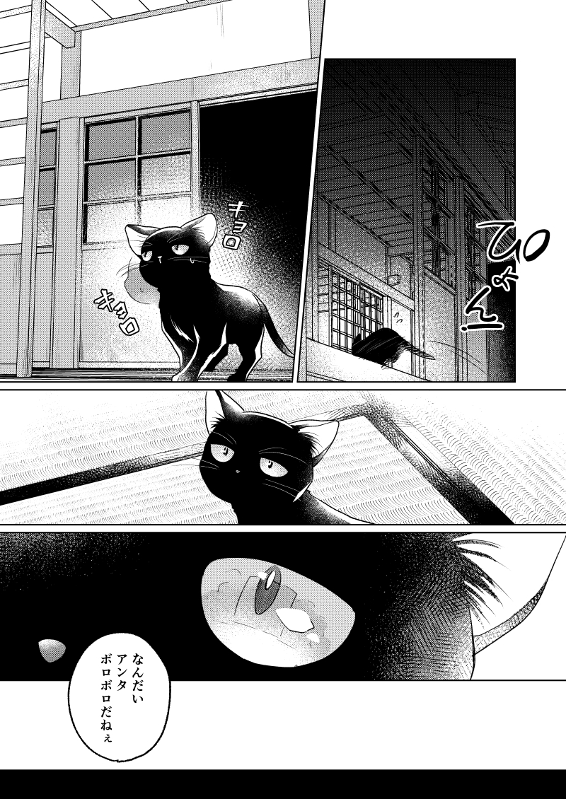 【再掲】幽霊が視える葬儀屋さんと黒猫の話(1/3)
#猫の日 