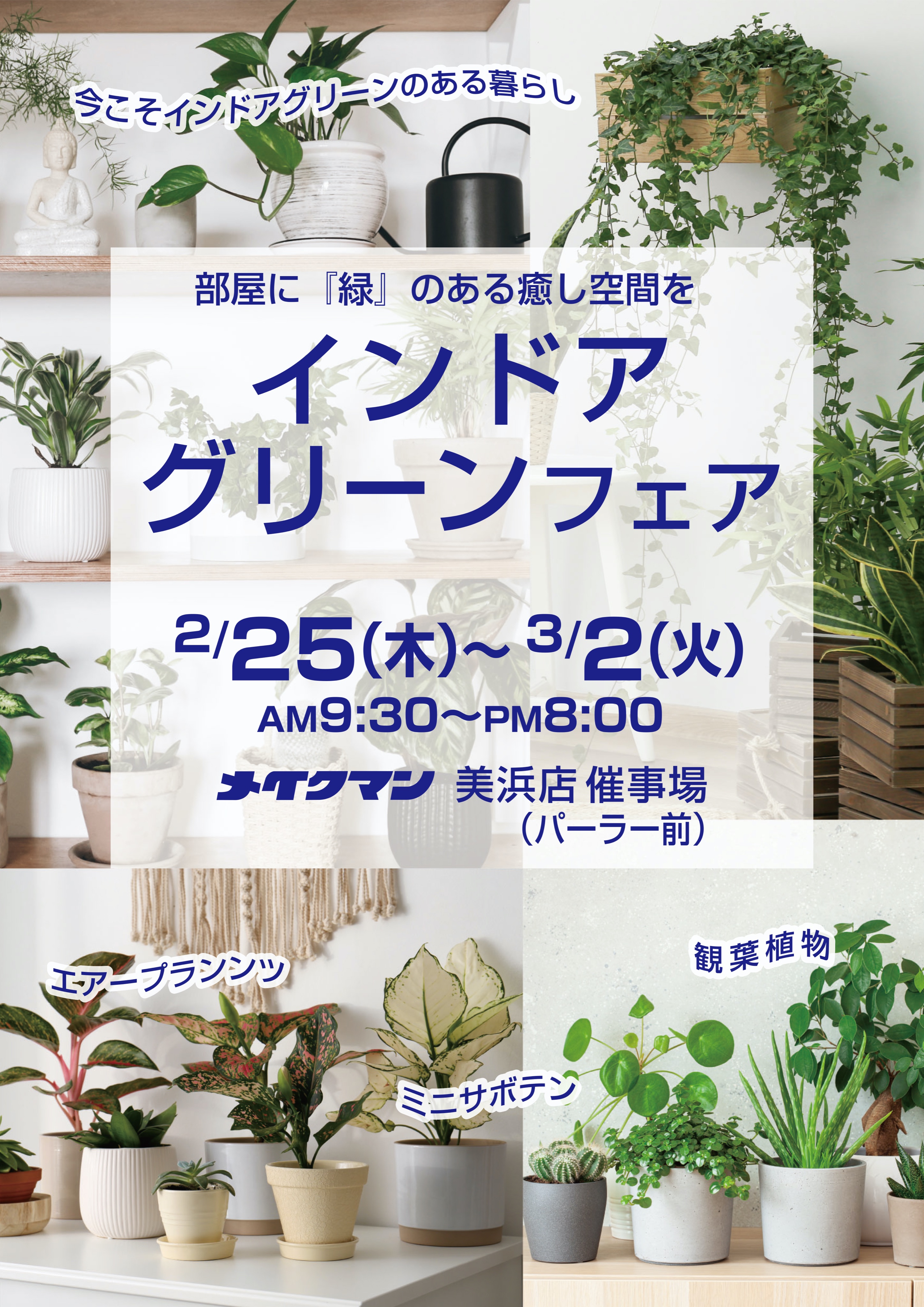 メイクマン 美浜店 インドアグリーンフェア 観葉植物 エアープランツ ミニサボテン 部屋に 緑 のある癒し空間を 期間 21年2月25日 木 3月2日 火 場所 メイクマン美浜店催事場 パーラー前 メイクマン 美浜店 観葉植物 エアー