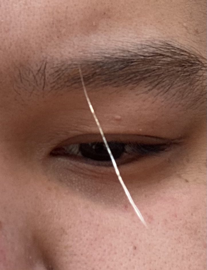 福毛 Twitter Search Twitter 福毛 Twitter Search Twitter