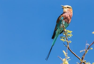 ffescalante13's tweet photo. Photo By Sander Wehkamp | Unsplash - via @Crowdfire
#livesessions #elderlyliving #gayright #frugalliving #nationnewspaper https://t.co/NO9MJbmlL3
