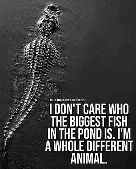 Halsey - You should be sad (Stripped – Live From Nashville) music.youtube.com/watch?v=YO0T4i… via <a href="/YouTube/">YouTube</a>