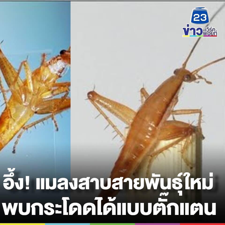 กูกราบเลย พักเถอะ พักด่วนเลยอันนี้ 🥲