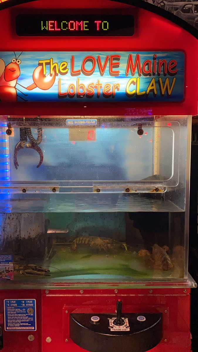 maine lobster claw game maine lobster claw game