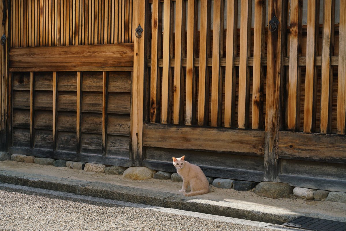 映画 すくってごらん 絶賛上映中 本日2月22日は 猫の日 撮影オフショットをお届け 橿原市 の猫さんです 尾上松也 百田夏菜子 柿澤勇人 石田ニコル すくってごらん 3月12日 金 公開 T Co M9xhzxukqa 映画 すくってごらん 絶賛上映中 本日2月22日は 猫の日 撮影オフショットをお届け 橿原市 の猫さんです 尾上松也 百田夏菜子 柿澤勇人 石田ニコル すくってごらん 3月12日 金 公開 T Co M9xhzxukqa
