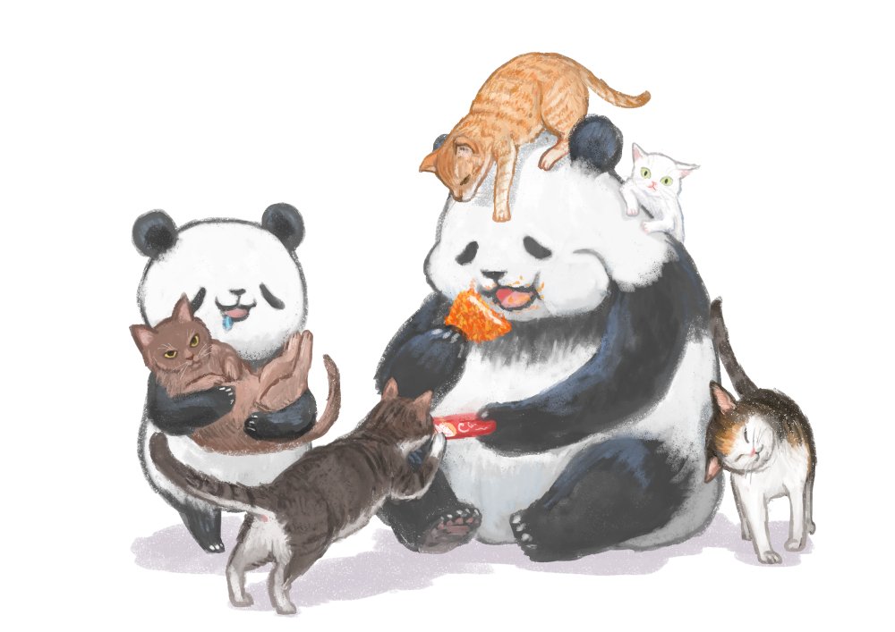cat no humans panda animal white background eating simple background  illustration images