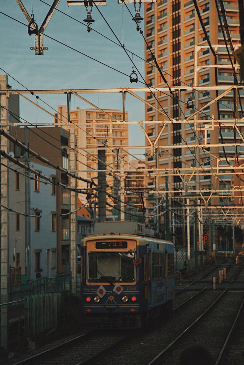 yumenvy's tweet photo. 東京さくらトラム　🚃
Милейшие трамвайчики в лучах заходящего солнца! https://t.co/xusgQ7T60m