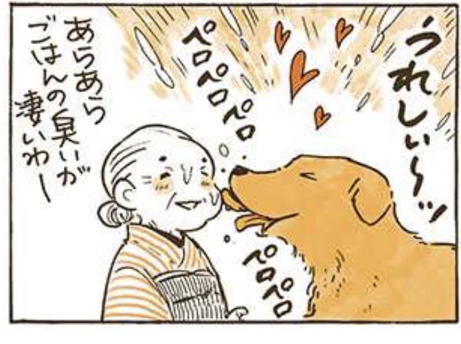 本日は #姫ばあちゃんとナイト の更新日!
11話以降はピクシブエッセイ描き下ろしのお話です。新作でも相変わらずのふたりをぜひご覧ください〜🦮🍴

姫ばあちゃんとナイト 第11話 ドッグフード | 佐倉イサミ 
https://t.co/pAXH3G6PXP 
#pixivコミック 