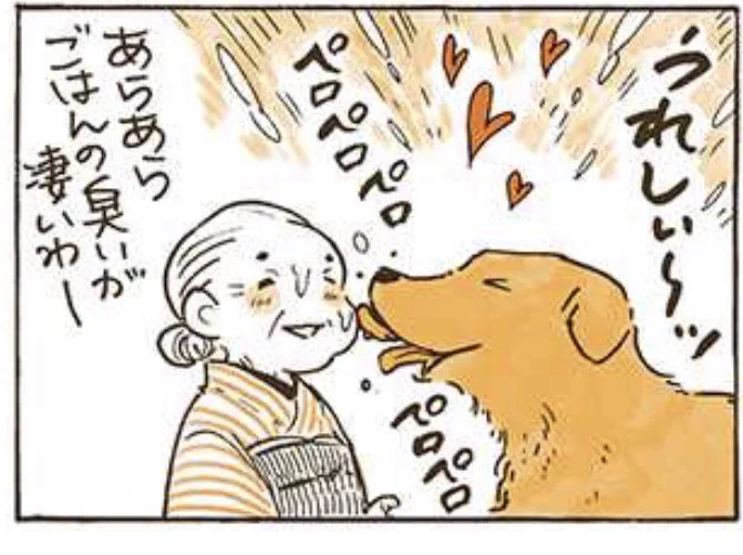 本日は #姫ばあちゃんとナイト の更新日!
11話以降はピクシブエッセイ描き下ろしのお話です。新作でも相変わらずのふたりをぜひご覧ください〜🦮🍴

姫ばあちゃんとナイト 第11話 ドッグフード | 佐倉イサミ 
https://t.co/pAXH3G6PXP 
#pixivコミック 
