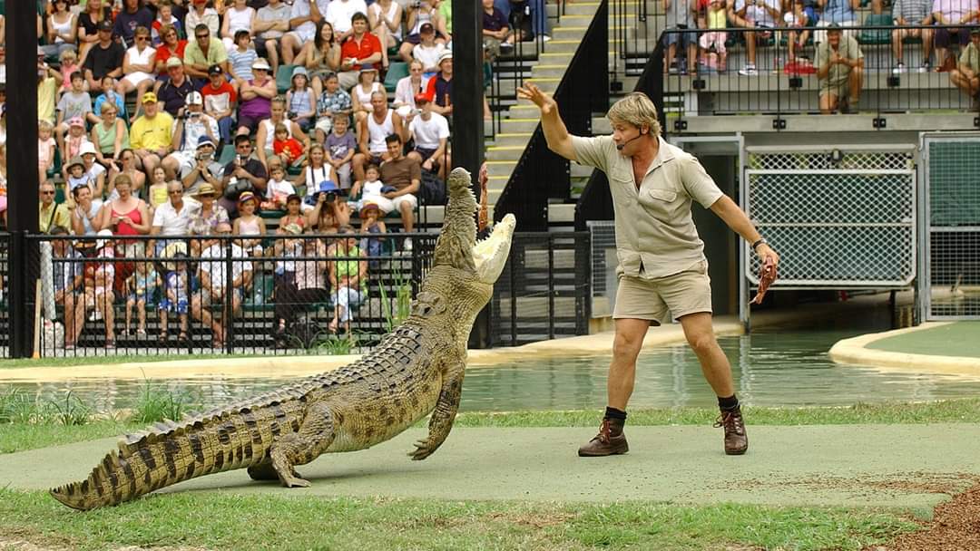 Happy birthday, Steve Irwin     