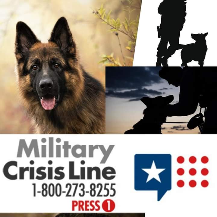 Operation Shell Shock (@opshellshockus) on Twitter photo 