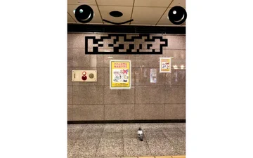 画像 / Picture