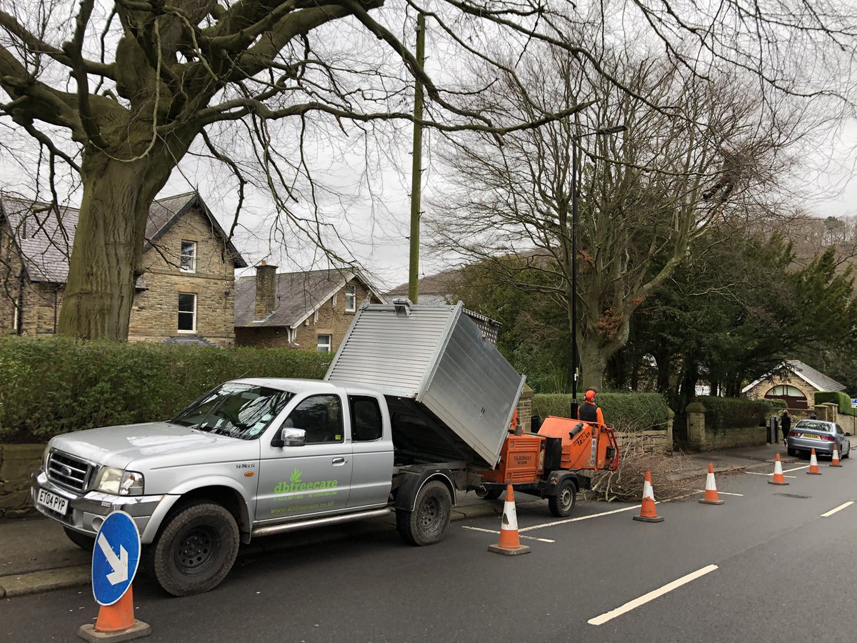 dbtreecare's tweet photo. A crown reduction of this cut leave Beech tree in Dore, Sheffield. #pruning #treecare #arborist #sheffield https://t.co/3I0y7fkzzh