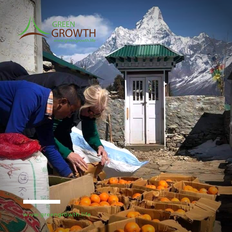 greengrowth26's tweet photo. Happy to share that, Sindhuli ko Junar reached Khumbu 😍
#Nepal #nepaliproducts #farmers #junar #greengrowth https://t.co/a1GouJ8nkm