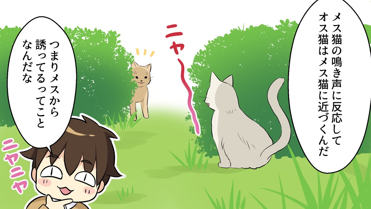 雑学王子トリビアーン Youtubeマンガ動画 イラスト 一部公開 テーマは 発情期の動物の特殊な交尾 可愛らしい 鳴き声のイメージが強い猫ですが 発情期になると 唸り声を上げてメスがオスを誘うようです 他にも繁殖にまつわる特殊な生態を調べてみ 雑学王子トリビアーン Youtubeマンガ動画 イラスト 一部公開 テーマは 発情期の動物の特殊な交尾 可愛らしい 鳴き声のイメージが強い猫ですが 発情期になると 唸り声を上げてメスがオスを誘うようです 他にも繁殖にまつわる特殊な生態を調べてみ