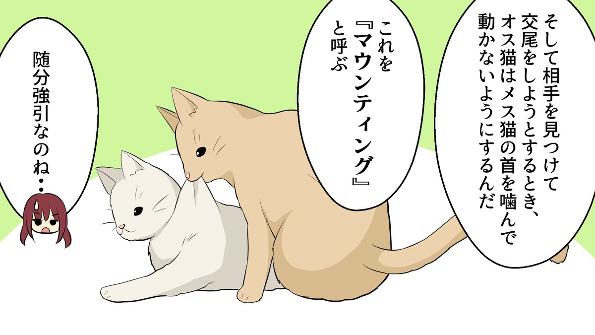 雑学王子トリビアーン Youtubeマンガ動画 イラスト 一部公開 テーマは 発情期の動物の特殊な交尾 可愛らしい鳴き声のイメージが強い猫ですが 発情期になると 唸り声を上げてメスがオスを誘うようです 他にも繁殖にまつわる特殊な生態を調べてみ 雑学王子トリビアーン Youtubeマンガ動画 イラスト 一部公開 テーマは 発情期の動物の特殊な交尾 可愛らしい鳴き声のイメージが強い猫ですが 発情期になると 唸り声を上げてメスがオスを誘うようです 他にも繁殖にまつわる特殊な生態を調べてみ