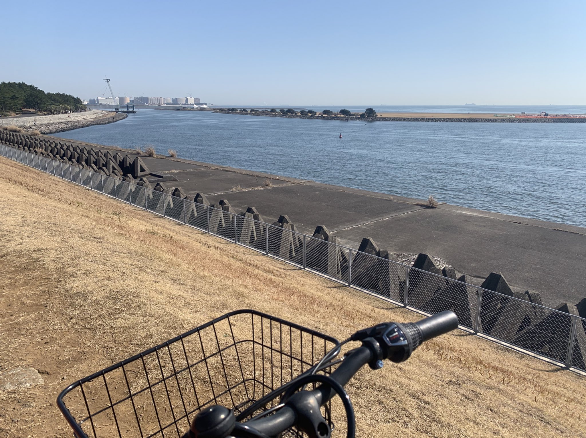 自転車こいで海を見に行く