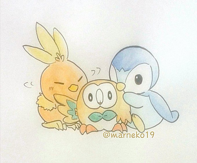 アチャモにきめたのtwitterイラスト検索結果 アチャモにきめたのtwitterイラスト検索結果