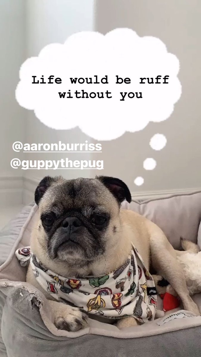 CcywCheryl's tweet photo. Life would be ruff without you! <3 @AaronBurriss @GuppyTweets 🐶 https://t.co/fTA35sWAjc