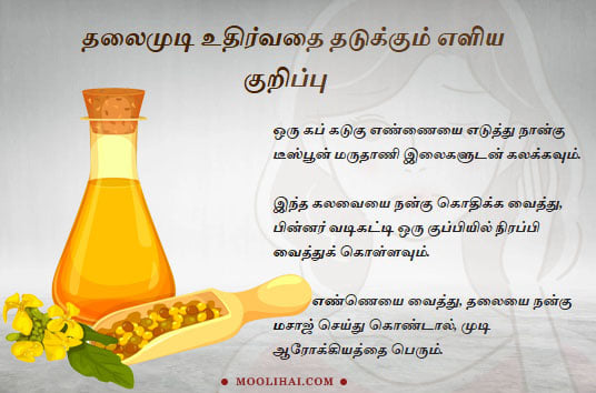 Moolihaiexport's tweet photo. #Health #Herbal_Products #Healthy_Products #Herbal_Life #Traditional_Products #BetterExperience #HealthyLife #Health  #Immune #Ayurveda #HerbalPlants #HighEnergyValue #haircare #haircaretips #hairstyle #HairFall #hairfallcontrol #hairoil #hairoilsforgrowth #hairfallsolution https://t.co/rGLmKFz51Y