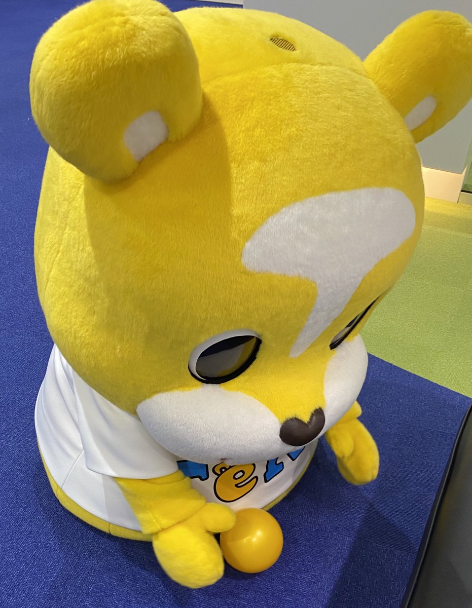 てっと君 Tetto Kun Twitter