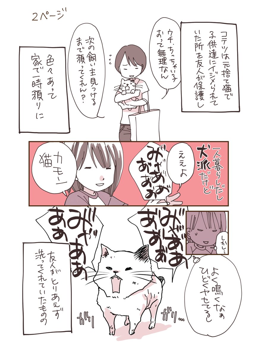 猫の日ですね。以前飼っていた猫の漫画を描きました
タイトル「猫を殺してしまったはなし1」です
1p~4p

ひどいタイトルですが、よろしくお願いします

#猫の日 #猫漫画 #エッセイ漫画 #保護猫 #ノルウェージャンフォレストキャット 