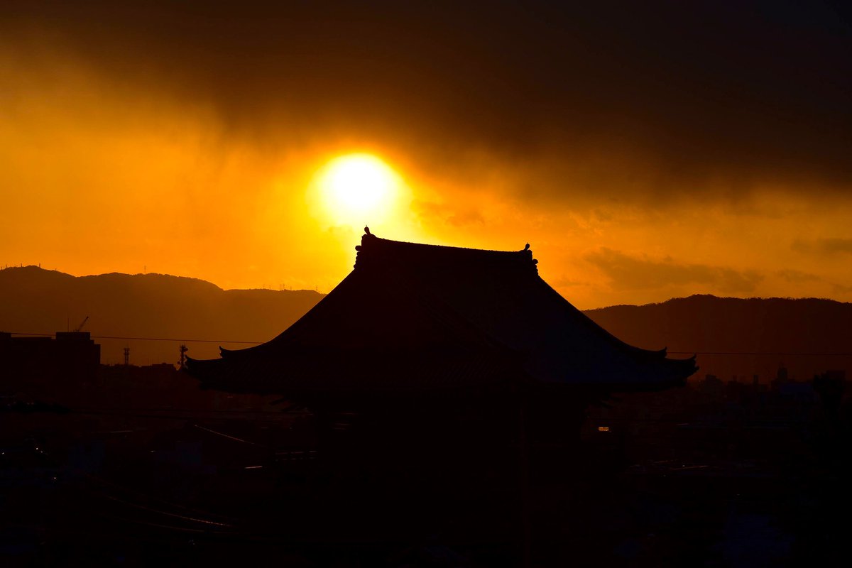 梓 結実 Azusayumi 夕陽 私のお気に入り 夕陽 夕焼けスポット 金戒光明寺 Beautiful Sunset My Favorite Place Konkai Komyoji Temple 京都 金戒光明寺 夕陽 夕日 夕焼け Photography Sunset Sunsetphotography By 梓結実 Kyoto Japan