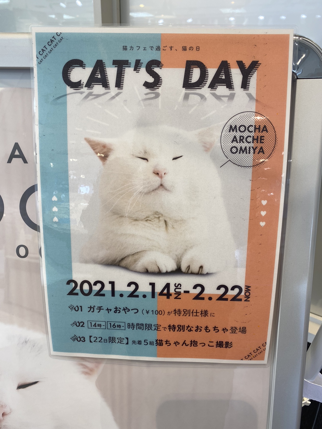 大宮ガチャ浦和ガチャ与野ガチャ発売中 アルシェ大宮 本日 2月22日は 猫の日 です 5fの猫カフェmochaではcat S Dayということでイベント開催中 是非お立ち寄りください T Co Qsy4lx7kkw Twitter