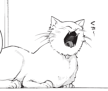 #猫の日 それぞれ名前は かえで ぼたん もみじ よもぎ 