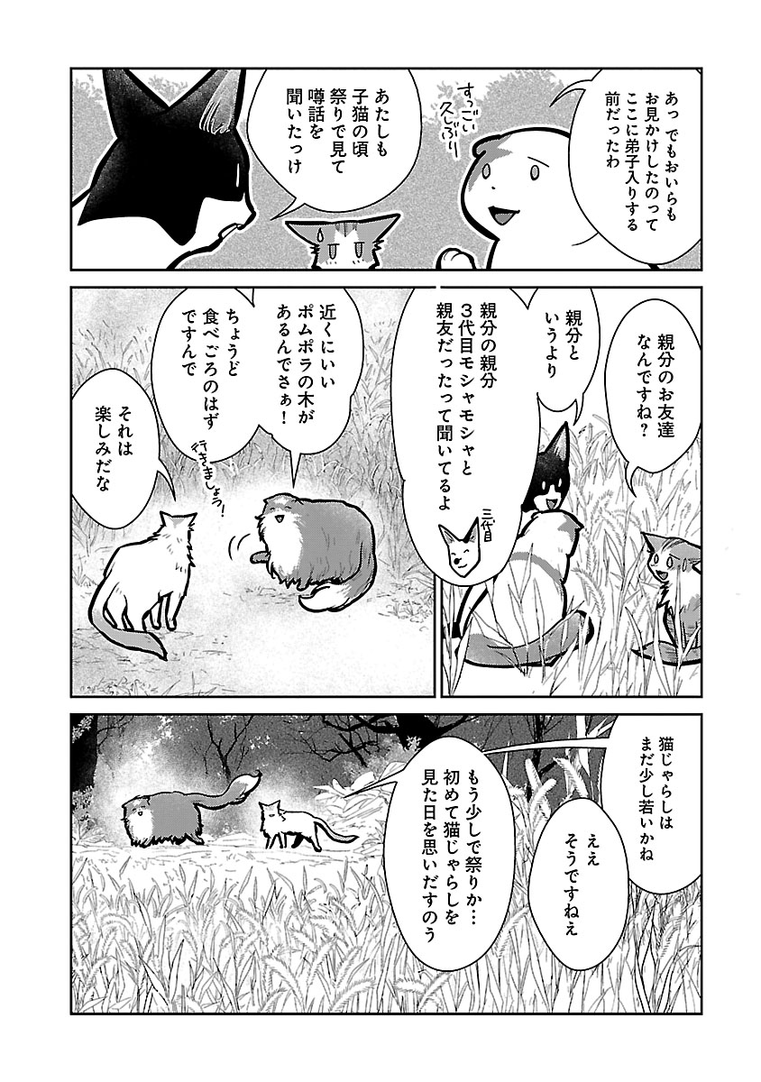 マンガボックス على تويتر 心配性の竜と個性豊かな猫たちの 温かくやさしいファンタジー 猫と竜 佐々木泉先生 大熊まい先生 M Okuma01 アマラ先生 Tamazonnnoamara 第15話前編 本日公開 今月から月4回配信 異世界 ファンタジー 魔法 漫画 T